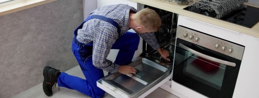 Milas LG Bulaşık Makinesi Tamircisi